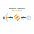 Configuring Boltz Plugin on BTCPay Server