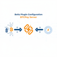 Configurazione Plugin Boltz su BTCPay Server | Swap Bitcoin Automatici, Senza Custodial